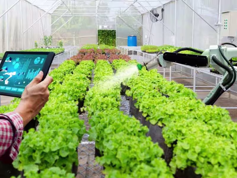 Cover image for Digital Transformation for a Agritech Startup