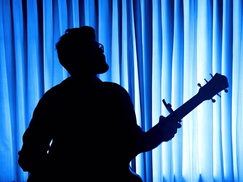 Cover image for Naveed and the Navlets