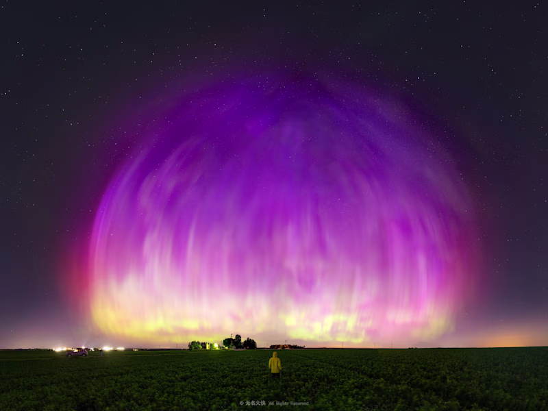 Cover image for Anomaly Shield