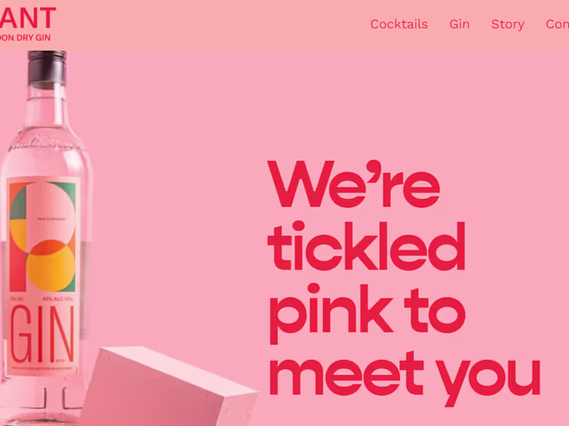 Cover image for Web copy and tone-of-voice guide for award winning Pink Elep...
