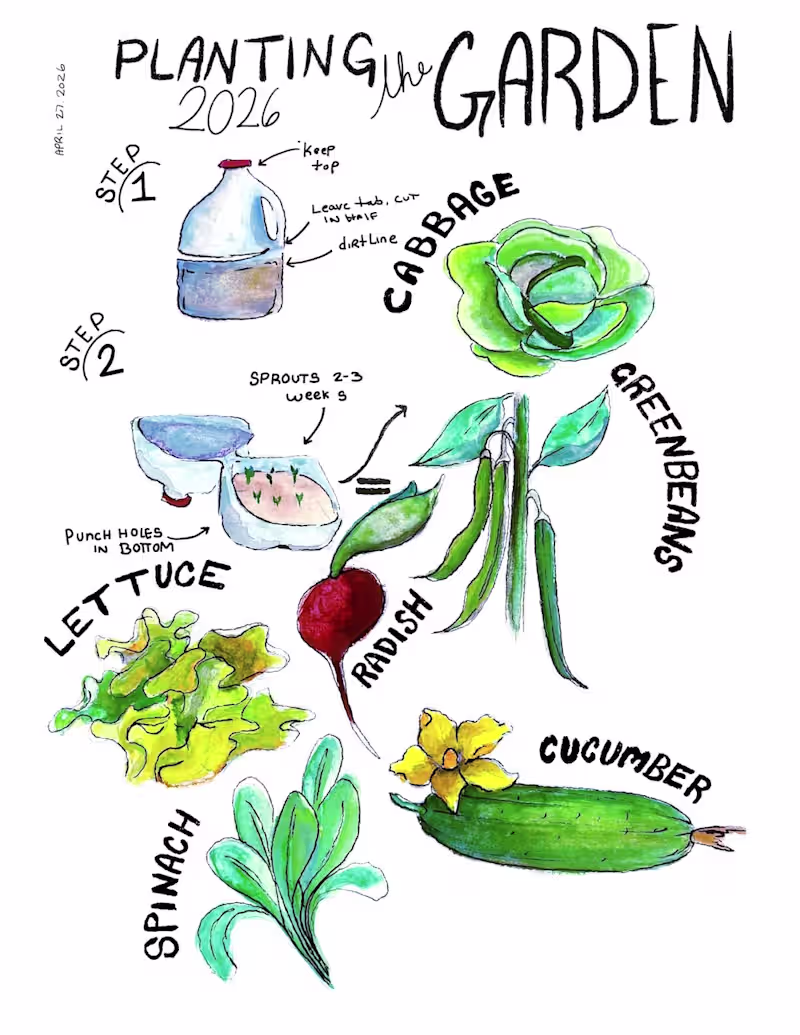 Cover image for Planting Garden Infographic
