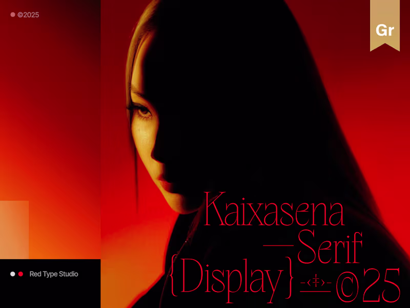 Cover image for Kaixasena - Display Serif Typeface | Showcase