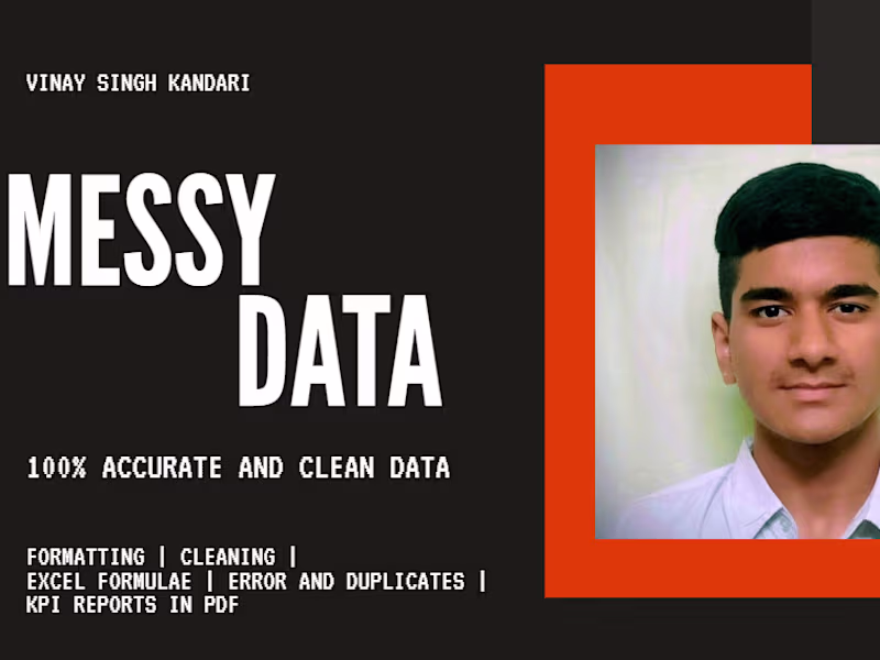Cover image for I will clean, format and organize excel data professionally