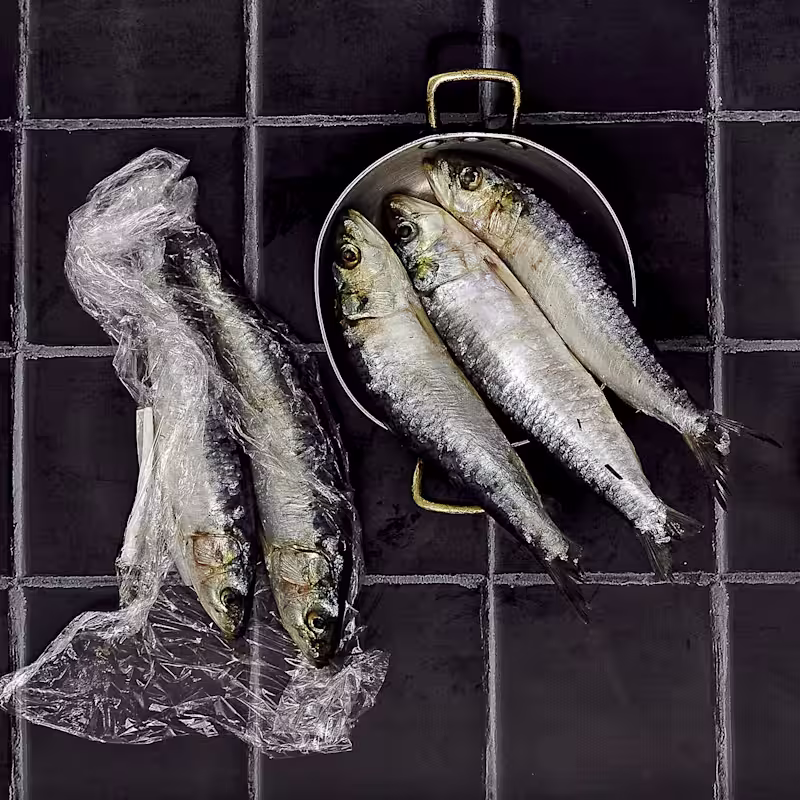 Cover image for Pesca del día