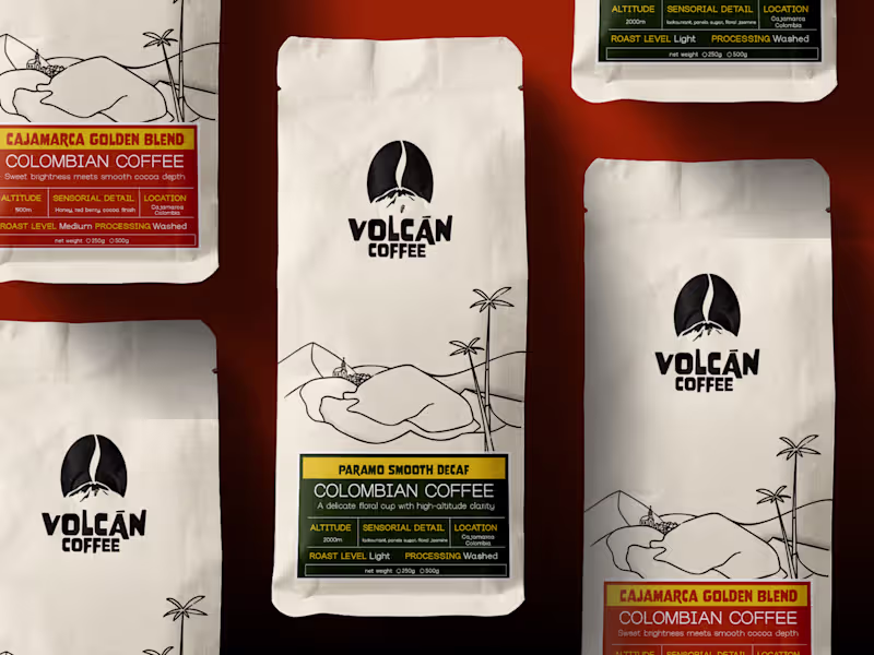 Cover image for Bold & Playful Brand Collateral Designs 