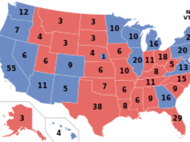 Cover image for THE IRRELEVANT ELECTORAL COLLEGE