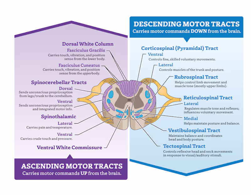 Cover image for Infographic highlighting the parts of