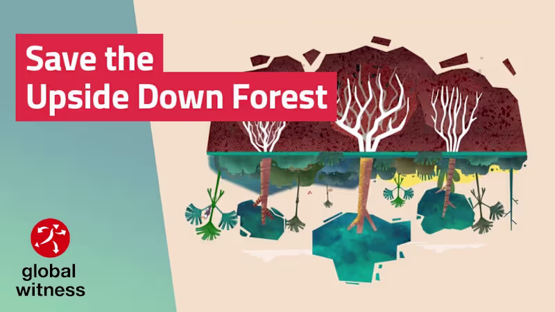 Cover image for What is the Cerrado – and why is it important for our planet?