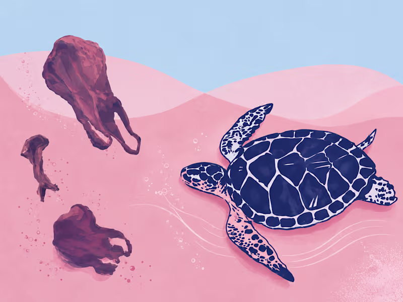Cover image for Chapter 2.2 of my English