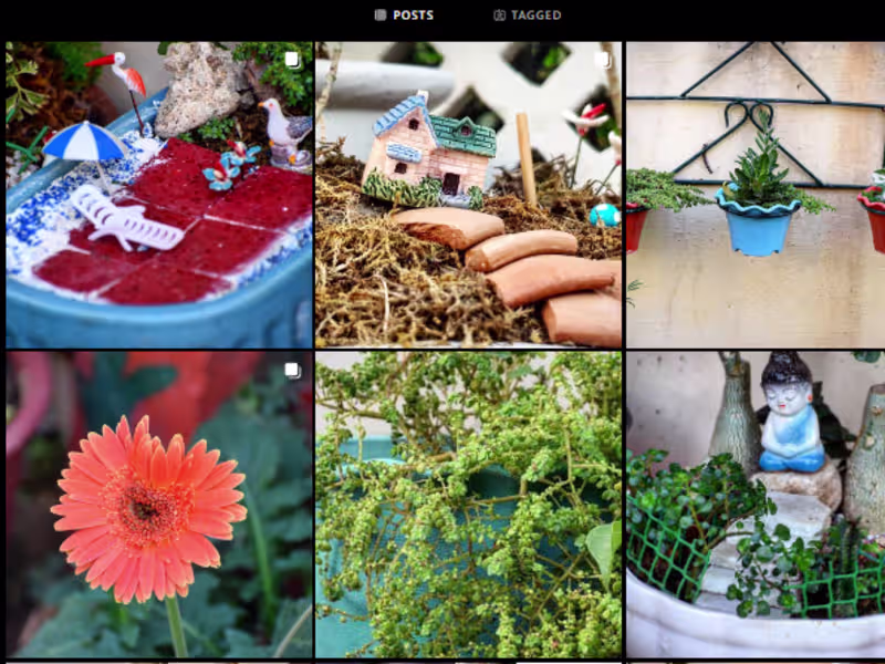 Cover image for Gulmohar-The garden boutique