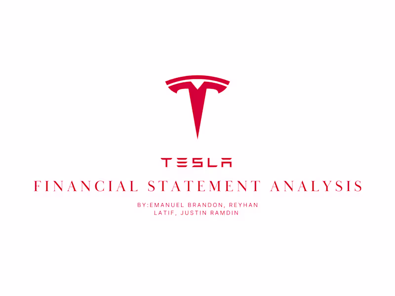 Cover image for Accounting Project