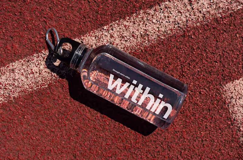 Cover image for Within