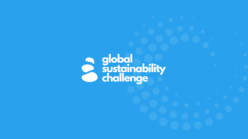 Cover image for Building a Shared Identity for a Global Sustainability Challenge