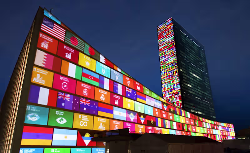 Cover image for What are the Global Goals?