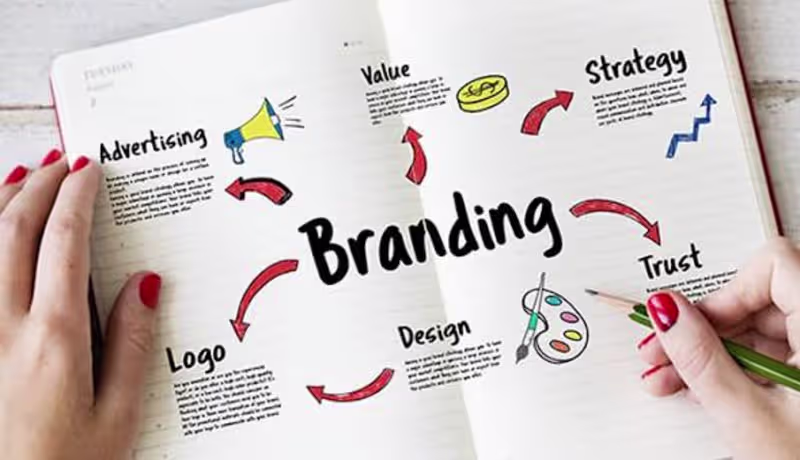 Cover image for Brand Designer/ Brand Identity/ Corporate Branding