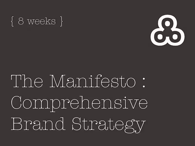 Cover image for The Manifesto : Comprehensive Brand Strategy