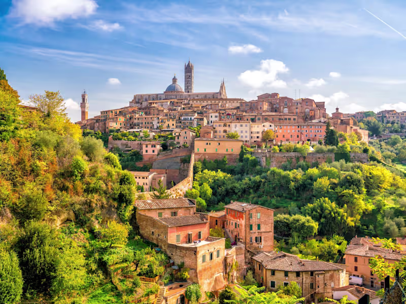 Cover image for Tailored Travel Experiences