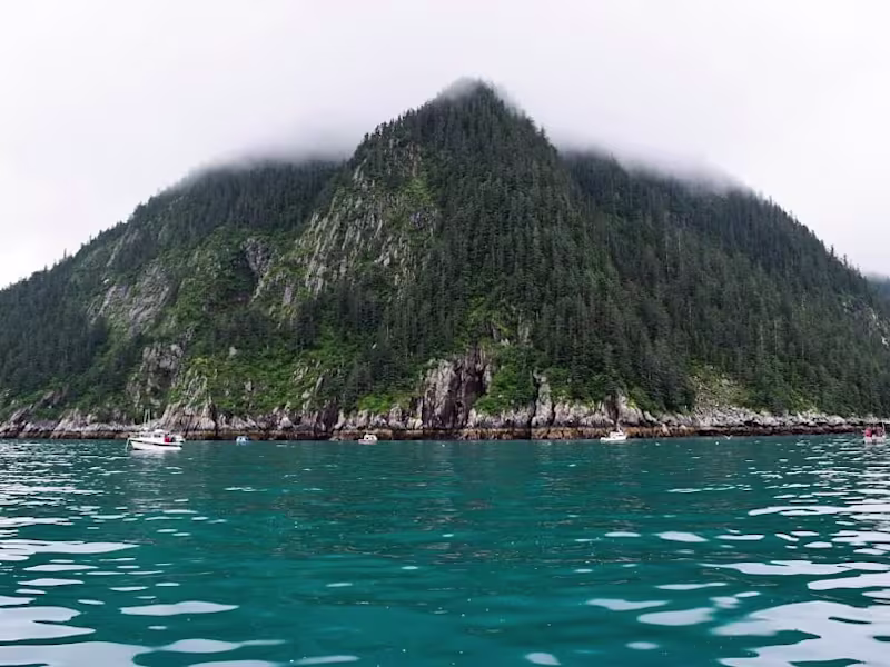 Cover image for Marketing Alaskan AirBnB