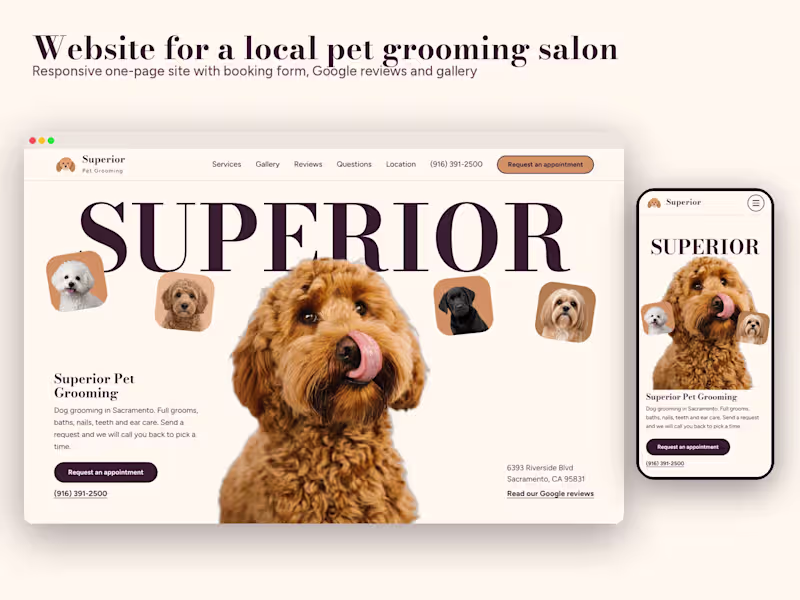 Cover image for One-page website for a local business