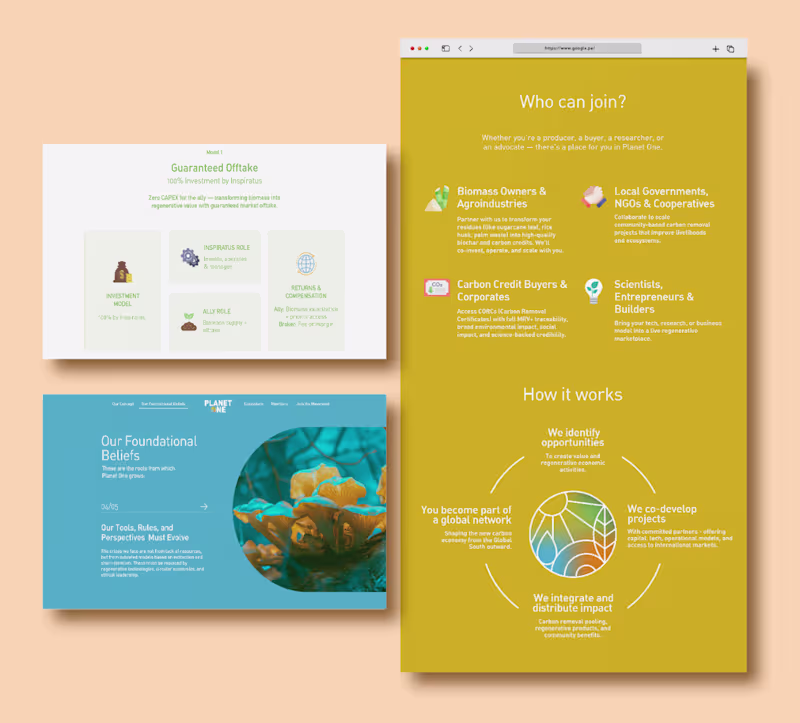 Cover image for Website Design & Development