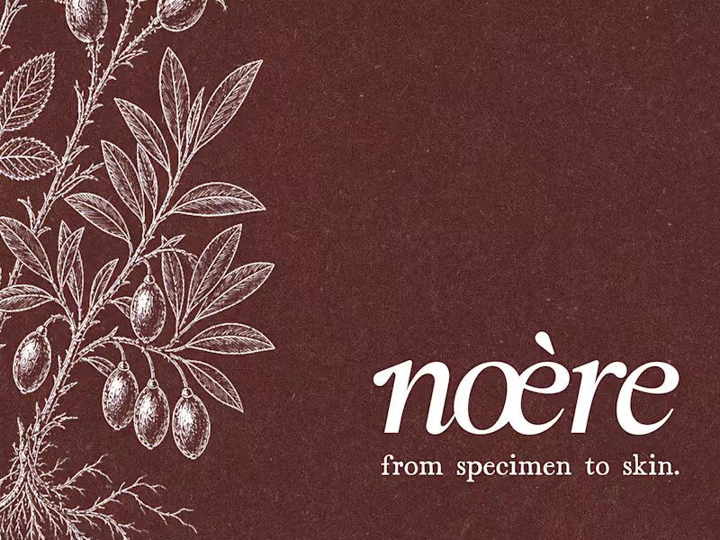 Cover image for Noère Branding & Packaging