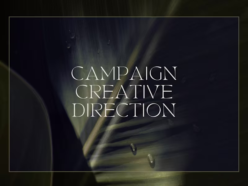 Cover image for Campaign Creative Direction
