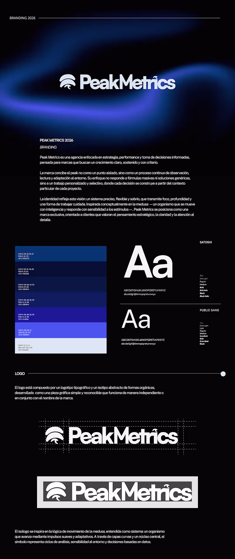 Cover image for PEAK METRICS | Brand & Visual Identity