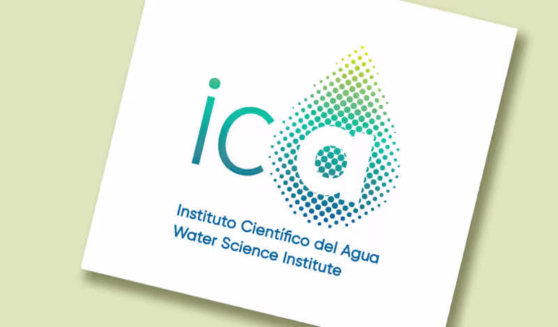 Cover image for Brand Identity & Visual Design