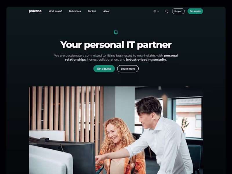 Cover image for Procano: Complete 30+ page company website