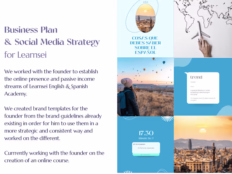 Cover image for Business Plan
& Social Media Strategy
for Learnsei