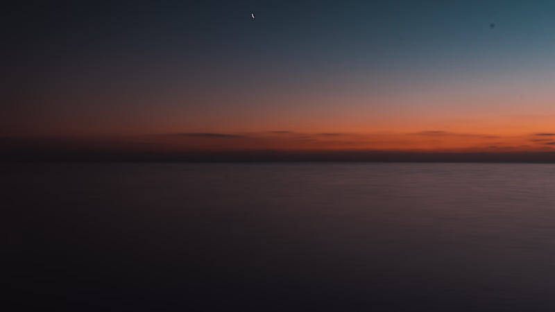Cover image for WAVES
