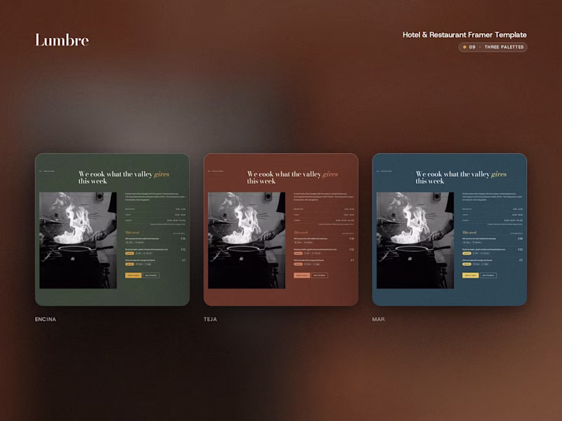 Cover image for Framer Template Setup by the Template's Author