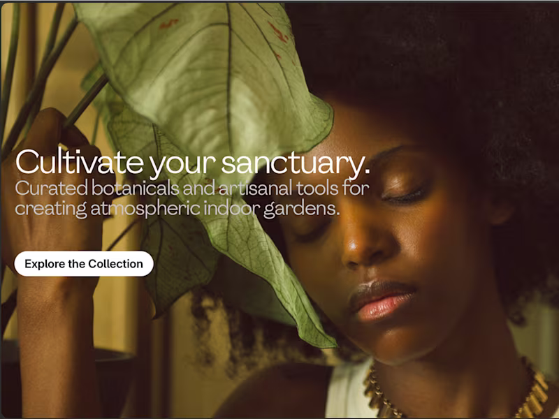 Cover image for Custom Framer Website - Design and Development
