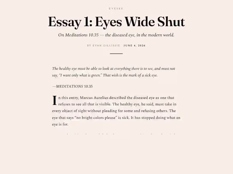 Cover image for The Edit — line & structure editing for essays and articles