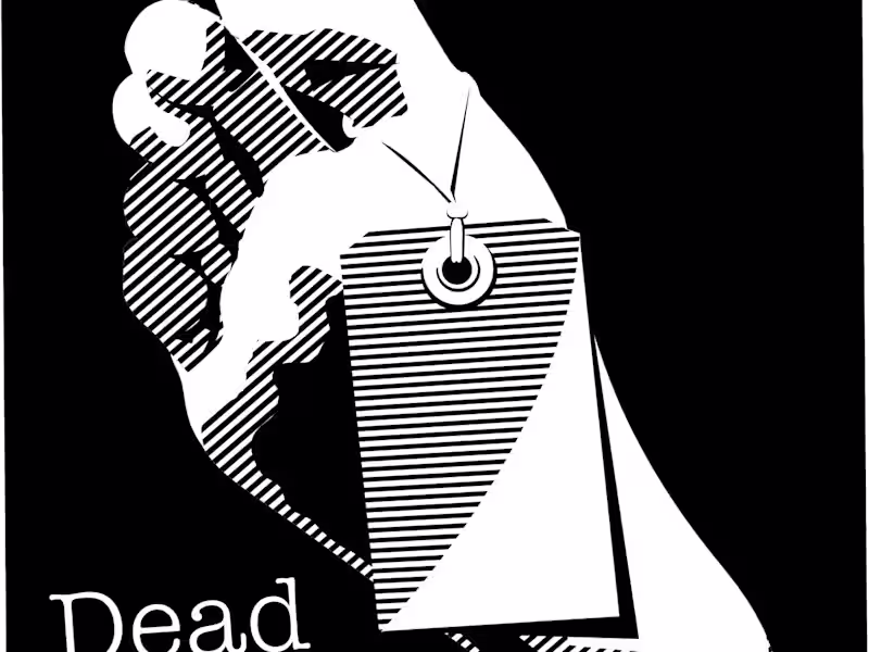 Cover image for Seasoned Graphic Artist expert in  logo design, packaging design