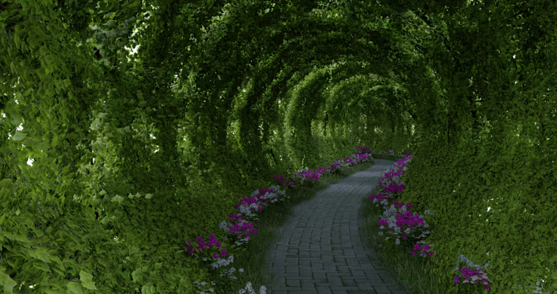 Cover image for Nature's Corridor