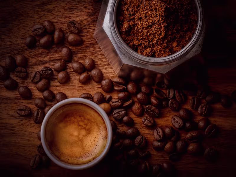 Cover image for Sensi Cafe — Dylan Writes