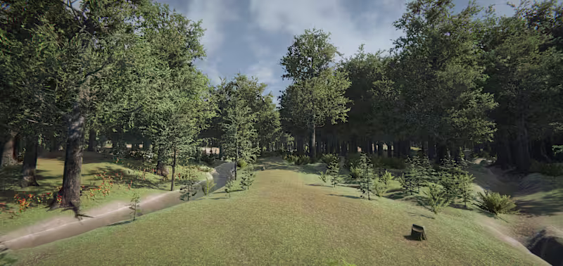 Cover image for Forest Scene