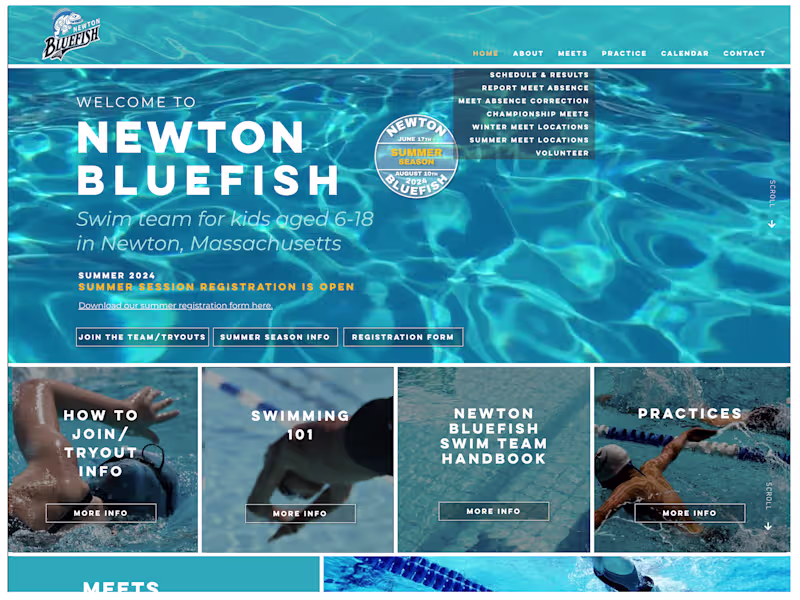 Cover image for The Newton Bluefish web site