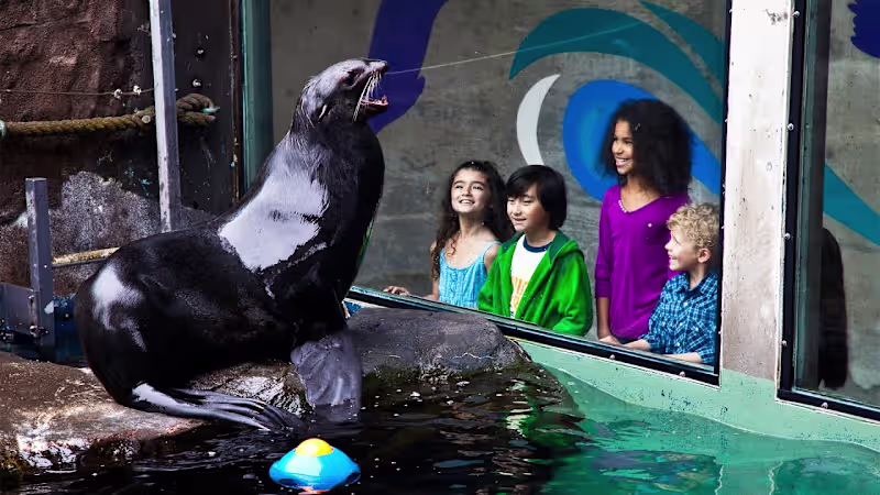 Cover image for We are the Seattle Aquarium - Video Script