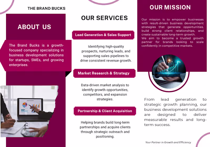 Cover image for Designed corporate brochures for The