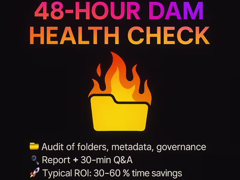 Cover image for 48-Hour DAM Health Check