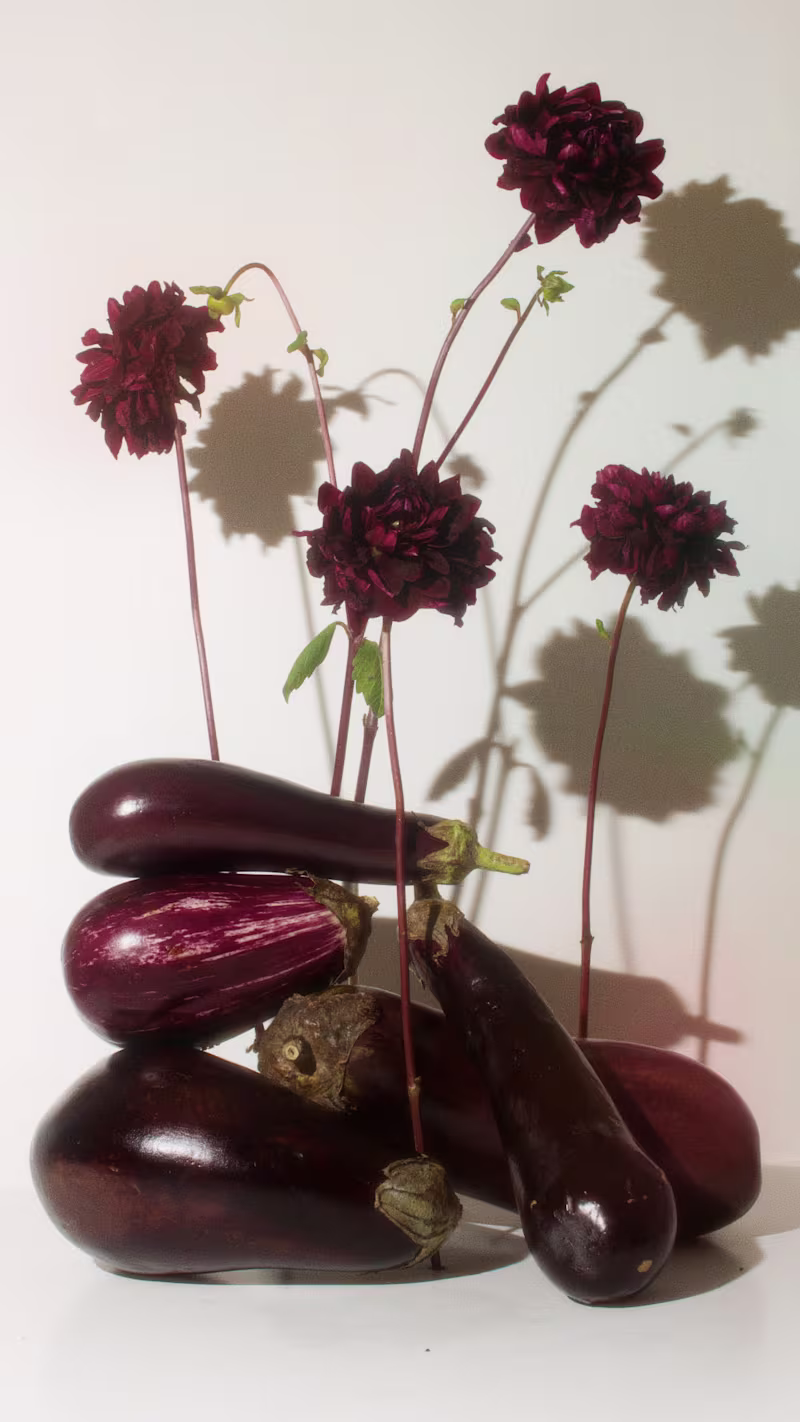 Cover image for food styling test shots