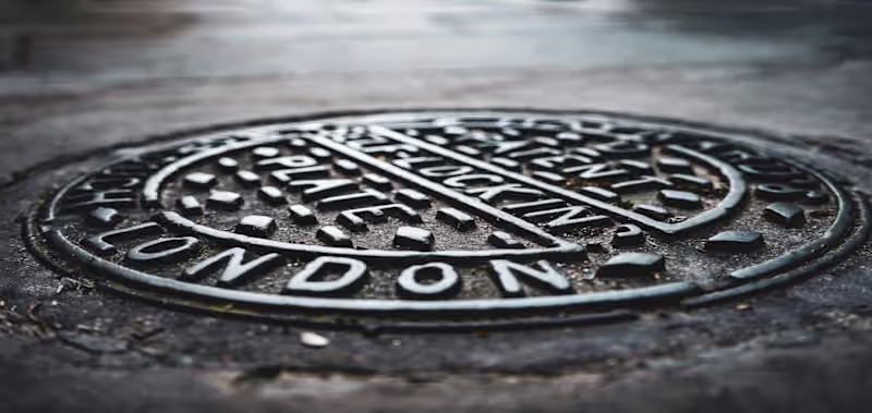 Cover image for London’s Great Stink