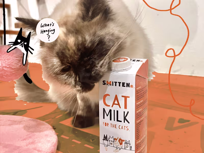Cover image for Smitten Cat Milk