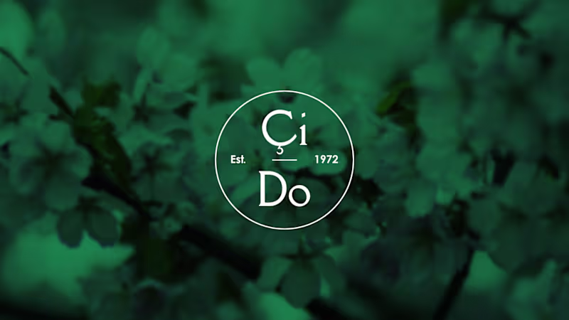 Cover image for Modern Logo Design