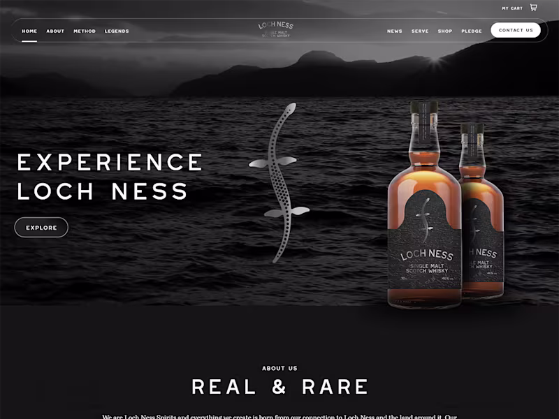 Cover image for We Are Loch Ness is