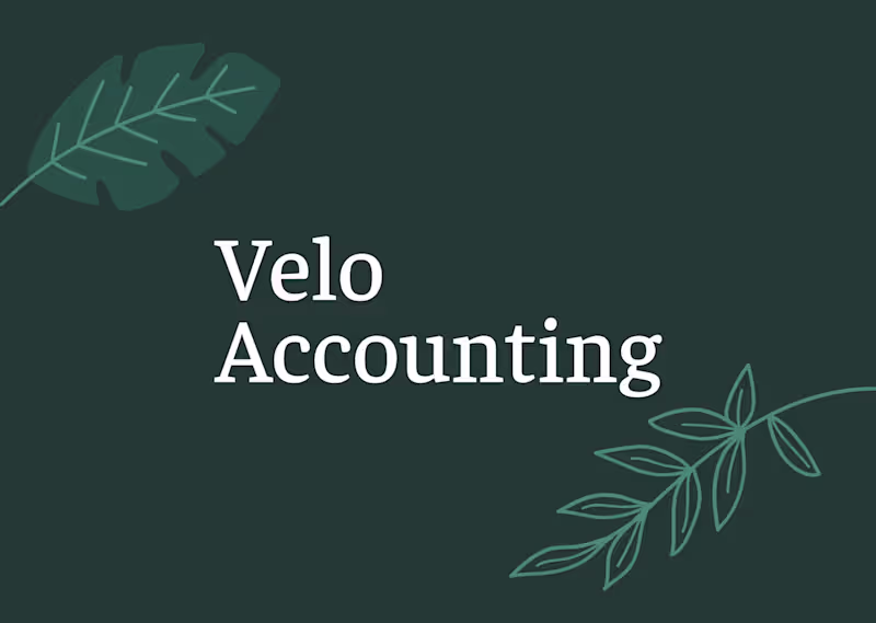 Cover image for Velo Accounting