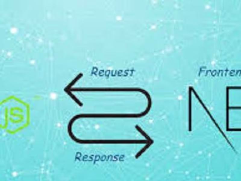 Cover image for express nest project from scratch and issue fixing