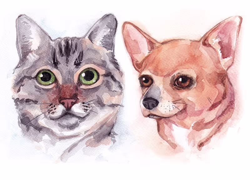 Cover image for Pet Portrait Watercolor Art